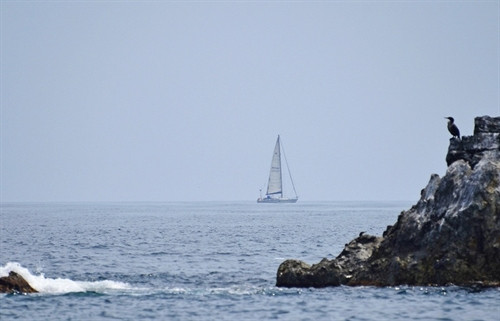 Thuyền buồm "Elfin" của Nga. Ảnh: TASS/TTXVN