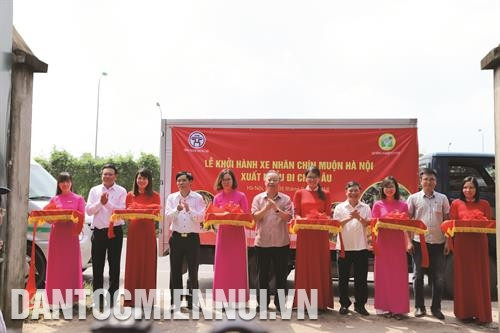 Phó Chủ tịch Thường trực Ủy ban Nhân dân Thành phố Hà Nội Nguyễn Văn Sửu (thứ hai, bên trái) yêu cầu ngành nông nghiệp thành phố cùng các địa phương cần đẩy mạnh phát triển sản phẩm nhãn chín muộn. Ảnh: Tú Quỳnh Đoàn cán bộ Hội đồng xúc tiến Nông Lâm Ngư nghiệp Nhật Bản đến thăm Trang trại trồng nhãn chín muộn của hộ gia đình ông Trần Văn Bảy - Phó Chủ tịch Hội sản xuất và kinh doanh nhãn chín muộn huyện Hoài Đức (Hà Nội). Ảnh: Tú Quỳnh Phó Chủ tịch Thường trực Ủy ban Nhân dân Thành phố Hà Nội Nguyễn Văn Sửu (người đứng giữa) cắt băng khởi hành xe chở nhãn chín muộn xuất khẩu sang châu Âu. Ảnh: Tú Quỳnh Những năm gần đây, nhờ trồng nhãn chín muộn, đời sống của người dân xã Song Phương, huyện Hoài Đức được nâng lên rõ rệt. Ảnh: Tú Quỳnh