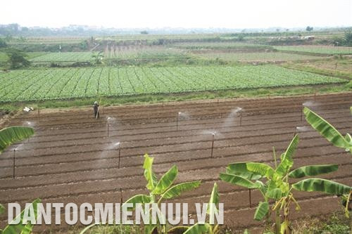 Hệ thống tưới phun mưa giúp bà con nông dân xã Tráng Việt chủ động kiểm soát, điều chỉnh chế độ nước, góp phần bảo vệ sức khoẻ người lao động