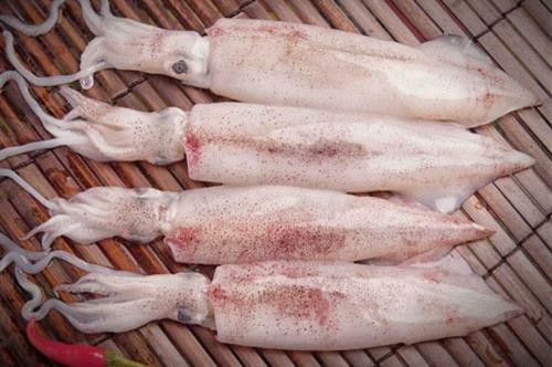 Mẹo chọn mực tươi ngon như dân biển ảnh 1