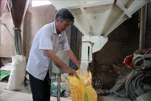 Đóng gạo nếp cái hoa vàng Yên Phụ đưa đi tiêu thụ. Ảnh: Đinh Văn Nhiều-TTXVN Đóng gạo nếp cái hoa vàng Yên Phụ đưa đi tiêu thụ. Ảnh: Đinh Văn Nhiều-TTXVN