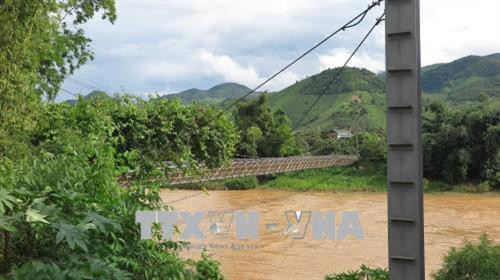 Trụ và dây neo chống dao động cho cầu Hải Sơn. Ảnh: Hữu Quyết - TTXVN Trụ và dây neo chống dao động cho cầu Hải Sơn. Ảnh: Hữu Quyết - TTXVN