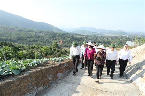 Chị Trương Kim Hoa - chủ Trang trại Hoa Viên (áo sẫm, đi giữa) giới thiệu về Trang trại Hoa Viên - mô hình nông nghiệp hữu cơ khép kín từ chăn nuôi đến trồng trọt. Ảnh: Hoàng Hà Trang trại Hoa Viên đang nuôi hơn 1.000 con lợn rừng sinh sản. Ảnh: Hoàng Hà Trang trại Hoa Viên mỗi năm cung cấp cho thị trường gần 1 vạn con lợn giống và hàng nghìn tấn lợn thương phẩm chất lượng cao. Ảnh: Hoàng Hà