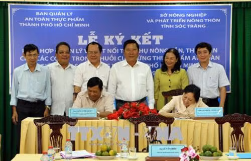 Sở Nông nghiệp và Phát triển nông thôn tỉnh Sóc Trăng tổ chức Lễ ký kết tiêu thụ nông sản, thủy sản cho các cơ sở trong chuỗi cung ứng thực phẩm an toàn giữa tỉnh Sóc Trăng và thành phố Hồ Chí Minh. Ảnh: Trung Hiếu - TTXVN