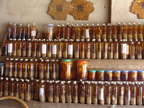 Ảnh minh họa- TTXVN