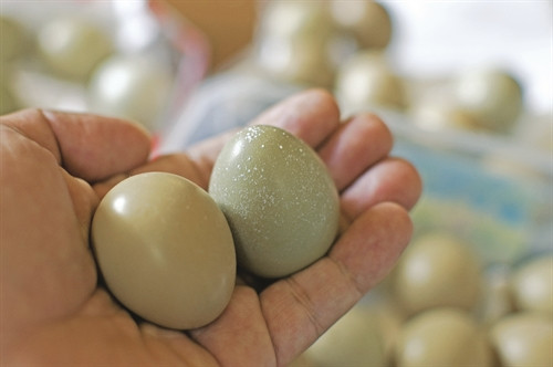 8 tháng tuổi, chim trĩ đã có thể đẻ trứng. Thời gian đẻ thường từ đầu tháng 1 đến tháng 4 âm lịch 8 tháng tuổi, chim trĩ đã có thể đẻ trứng. Thời gian đẻ thường từ đầu tháng 1 đến tháng 4 âm lịch