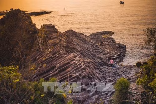 Gành Đá Đĩa với những khối đá hình lăng trụ với màu đen huyền bí xếp sát nhau nằm ngay bên bờ biển xã An Ninh Đông, huyện Tuy An, tỉnh Phú Yên. Ảnh: Trọng Đạt - TTXVN