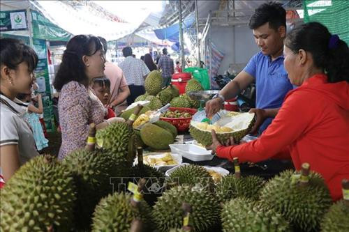 Du khách lựa chọn mua trái cây tại lễ hội. Ảnh: Huỳnh Phúc Hậu - TTXVN