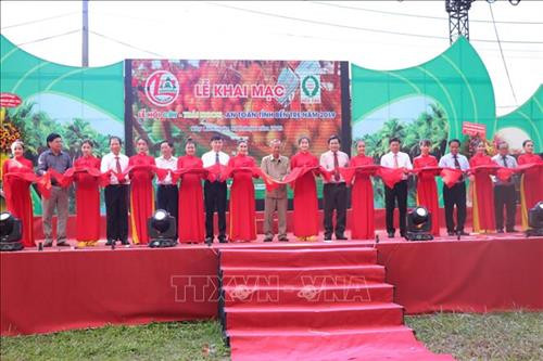 Khai mạc lễ hội cây – trái ngon, an toàn tỉnh Bến Tre lần thứ 18. Ảnh: Huỳnh Phúc Hậu - TTXVN