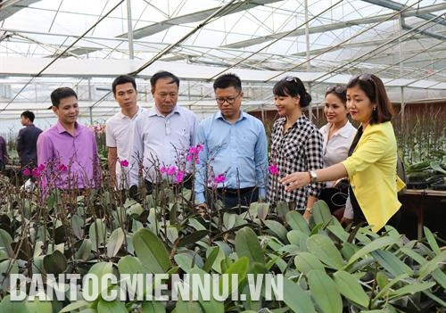 Cán bộ Sở NN & PTNT Hà Nội thăm Công ty cổ phần Hoa nhiệt đới (Mộc Châu - Sơn La)