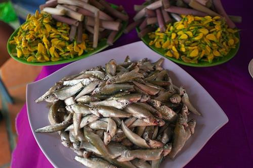 Đến Châu Đốc mùa nước nổi, bạn sẽ được thưởng thức những món ngon từ cá linh và bông điên điển. Ảnh: thegioidisan.vn Đến Châu Đốc mùa nước nổi, bạn sẽ được thưởng thức những món ngon từ cá linh và bông điên điển. Ảnh: thegioidisan.vn