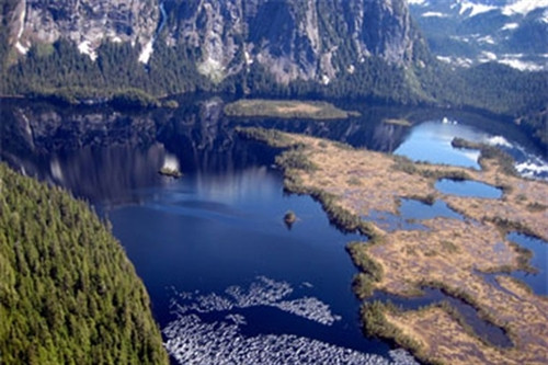 Ảnh minh họa Ảnh minh họa