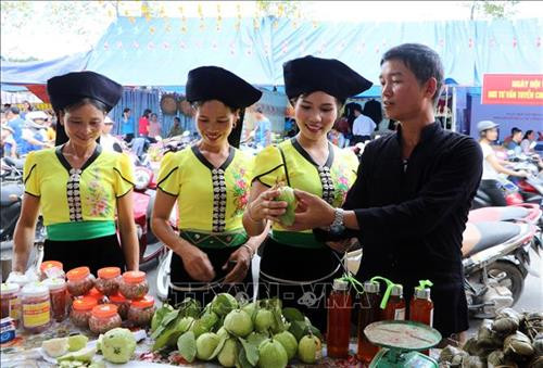 Hàng nông sản địa phương bày bán tại khong gian Chợ vùng cao để quảng bá sản vật của quê hương. Ảnh: Việt Hoàng - TTXVN Hàng nông sản địa phương bày bán tại khong gian Chợ vùng cao để quảng bá sản vật của quê hương. Ảnh: Việt Hoàng - TTXVN