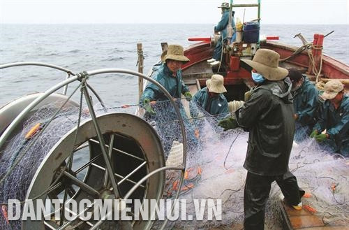 Tỉnh Nghệ An phấn đấu đến năm 2020, 100% số tàu hoạt động ở vùng biển xa bờ tham gia tổ hợp tác khai thác thủy sản