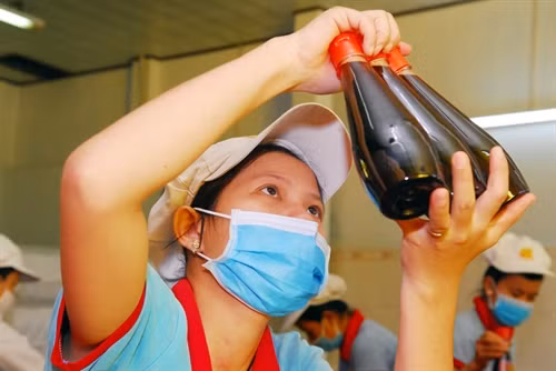 Nghề sản xuất nước mắm truyền thống tạo việc làm và thu nhập ổn định cho hàng ngàn người dân Phan Thiết.