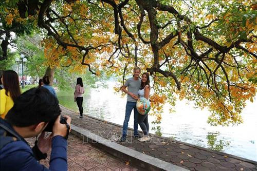 Du khách nước ngoài thích thú chụp ảnh với vẻ đẹp mùa thay lá trên hồ Gươm. Ảnh: Thành Đạt – TTXVN Du khách nước ngoài thích thú chụp ảnh với vẻ đẹp mùa thay lá trên hồ Gươm. Ảnh: Thành Đạt – TTXVN