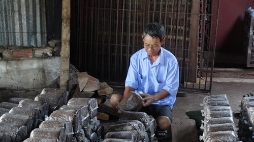 Ông Phạm Văn Mỹ kiểm tra các bịch giống nấm.