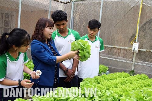 Con em đồng bào các dân tộc trong tỉnh được đào tạo kiến thức nông nghiệp công nghệ mới từ khi còn học trong trường dân tộc nội trú. Ảnh: Trần Việt Sơ chế chuối Laba xuất khẩu sang Nhật Bản tại cơ sở của gia đình ông Nguyễn Huy Phương ở xã Đạ K’Nàng, huyện Đam Rông. Ảnh: Nguyễn Dũng Một cánh rừng cao su ở xã Đạ Ploa, huyện Đạ Huoai. Ảnh: Trần Việt