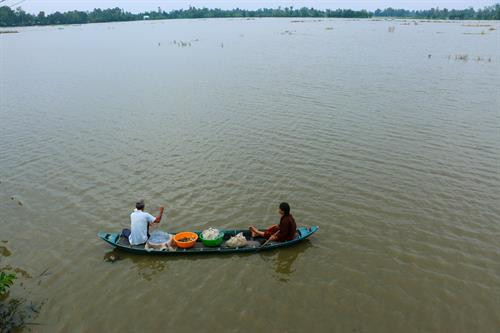 Giăng lưới bắt cá trong mùa nước nổi. Ảnh: Duy Khương - TTXVN