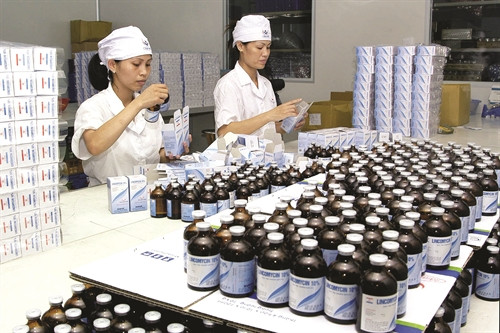 Người nuôi thủy sản phải mua thuốc có nguồn gốc, nhãn mác ghi rõ thông tin và cách sử dụng Người nuôi thủy sản phải mua thuốc có nguồn gốc, nhãn mác ghi rõ thông tin và cách sử dụng