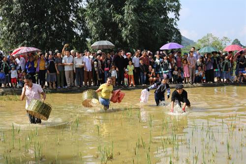 Du khách tham quan các gian hàng trưng bày sản vật địa phương. Các đội thi trò chơi bắt cá. Các đội thi làm bánh. Người dân tham gia thi môn đẩy gậy. Ban tổ chức trao cờ lưu niệm cho các đội tham gia Ngày hội văn hóa. Du khách tham quan các gian hàng trưng bày sản vật địa phương. Các đội thi trò chơi bắt cá. Các đội thi làm bánh. Người dân tham gia thi môn đẩy gậy. Ban tổ chức trao cờ lưu niệm cho các đội tham gia Ngày hội văn hóa.
