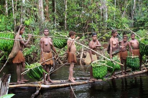 Phụ nữ Korowai hái lượm trong rừng.