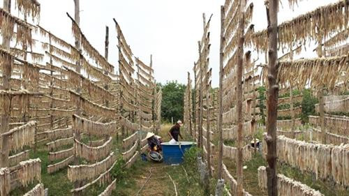 Thơm lừng hương vị cá khoai Cái Đôi Vàm ảnh 1 Thơm lừng hương vị cá khoai Cái Đôi Vàm ảnh 1