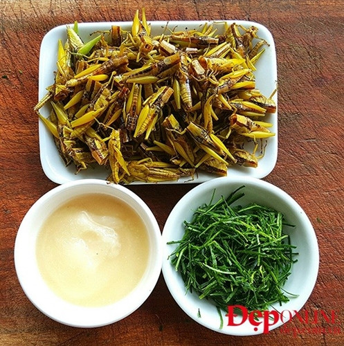 Trước tiên đun nước sôi cho châu chấu rụng hết cánh. Sau đó làm sạch ruột châu chấu bằng cách rút bỏ đi phần đầu châu chấu, ruột sẽ theo đó mà bị kéo ra ngoài. Dùng kéo cắt phần càng cứng nhọn phía dưới của châu chấu. Cuối cùng là cho chút muối xóc đều rồi rửa sạch lại dưới vòi nước. Để châu chấu róc nước rồi mang đi chế biến.