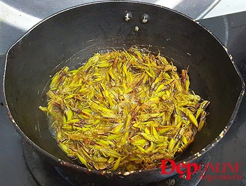 Còn về nguyên liệu cho món châu chấu rang thì lại càng đơn giản và dân dã: một chút nước dưa muối, vài cái lá chanh, thìa nước mắm và mỡ lợn.