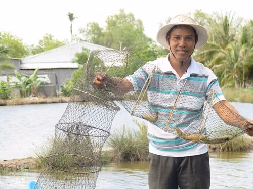 Anh Sơn Rây là một trong những hộ Khmer làm kinh tế giỏi ở xã Ninh Thạnh Lợi.