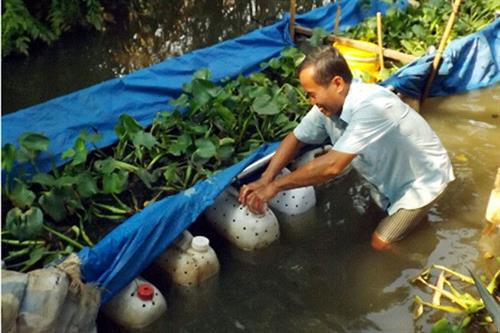 Lươn được nuôi trong các can nhựa. Lươn được nuôi trong các can nhựa.