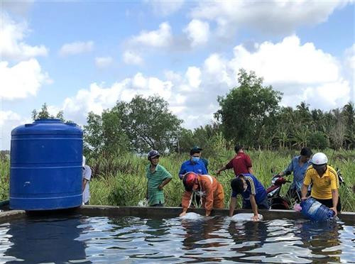 Công ty cấp nước Sài Gòn cùng các đơn vị phối hợp vận chuyển hơn 3,6 triệu lít nước ngọt đến với người dân vùng hạn, mặn ĐBSCL. Ảnh: TTXVN