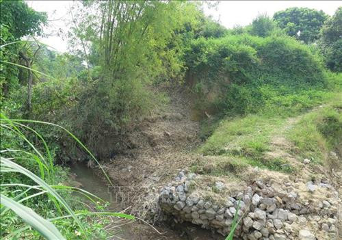 Sạt lở tường thành của di tích Thành Tam Vạn ngày càng nghiêm trọng. Ảnh: Xuân Tiến – TTXVN