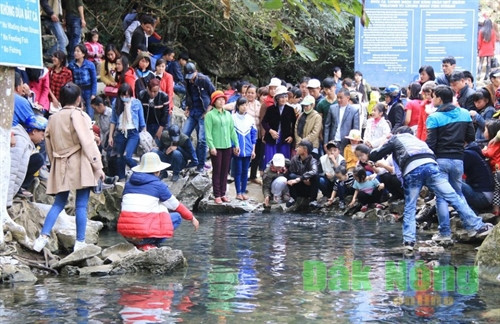 Thú vị ngắm “suối cá thần” Cẩm Thủy ảnh 2