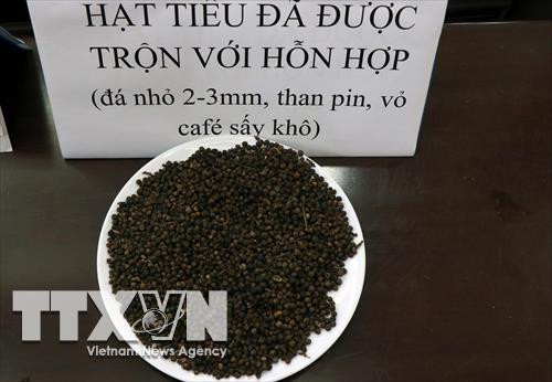 Hạt tiêu sau khi được trộn với hỗn hợp đá nhỏ 2-3mm, than pin, vỏ cà phê sấy khô. Ảnh: Hưng Thịnh – TTXVN Hạt tiêu sau khi được trộn với hỗn hợp đá nhỏ 2-3mm, than pin, vỏ cà phê sấy khô. Ảnh: Hưng Thịnh – TTXVN