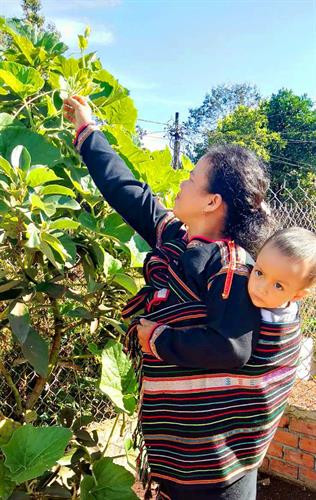 Địu trẻ lên nương. Địu trẻ lên nương.