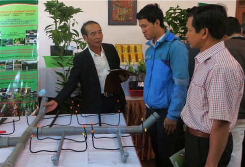 Mô hình tưới tiết kiệm phun mưa cục bộ của Viện Khoa học Nông lâm nghiệp Tây Nguyên Mô hình tưới tiết kiệm phun mưa cục bộ của Viện Khoa học Nông lâm nghiệp Tây Nguyên