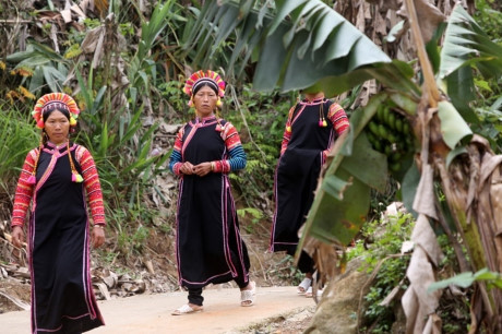 Người La Hủ hay còn gọi là Xá Lá Vàng, Cò Xung, Khù Sung, Khả Quy... hiện có khoảng 10.000 người, sinh sống chủ yếu ở đầu nguồn sông Đà, thuộc huyện Mường Tè, tỉnh Lai Châu. Tuy cuộc sống còn nhiều khó khăn, song đồng bào La Hủ nơi đây vẫn chú trọng gìn giữ bản sắc văn hóa truyền thống, nhất là phụ nữ mặc áo dài tà đen làm nổi bật vóc dáng. Phơ cơ zỡ – tiếng La Hủ có nghĩa là áo dài. Người La Hủ ở Mường Tè thường mặc áo dài tà đen. Các họa tiết, hoa văn... trên mỗi bộ trang phục phụ nữ La Hủ nói lên sự gắn bó giữa cơ thể con người trong sự vận động của cuộc sống với thiên nhiên. Áo dài của người La Hủ ngoài việc mặc ôm sát làm nổi bật đường cong của cơ thể người phụ nữ, còn đẹp ở cách phối màu sắc, cách trang trí và kỳ công của người làm. Mỗi người con gái La Hủ khi đến tuổi thành niên đều tự ý thức may cho mình một chiếc áo dài. Con gái La Hủ thường mặc loại áo cánh tay có nhiều sắc đỏ thể hiện sức sống tươi trẻ và niềm tin yêu cuộc sống. Do hoàn toàn được làm thủ công, nên thời gian để người La Hủ may một chiếc áo dài có khi mất cả tháng mới xong. Duyên dáng thiếu nữ dân tộc La Hủ. Cao nhất trên đầu là vành khăn trang trí với 5 màu sắc. Khăn quấn đầu chủ yếu được làm bằng vải đủ màu và hạt cườm rủ xuống, tạo nét khả ái cho khuôn mặt của người phụ nữ. Để có được bộ trang phục, khăn đội đầu đẹp, đòi hỏi ý tưởng sáng tạo nghệ thuật của người làm. Màu sắc chủ đạo được phối ở cánh tay và điểm xuyết bạc trắng ở thân áo. Làm đẹp cho thân áo còn có sự kết hợp của các hoa văn làm bằng nhôm hình tròn, hình tam giác. Một chiếc áo đẹp còn ở cách trang trí, bài trí những đường diềm tỉ mỉ trên thân áo, tay áo nổi bật lên trên nền vải đen với nhiều màu chỉ đen, đỏ, vàng... May tay áo là công đoạn chiếm nhiều thời gian nhất, có thể tận dụng vải cũ làm lớp lót bên trong, phía ngoài được may ngược. Một ngày với người phụ nữ La Hủ được bắt đầu bằng việc vận trang phục và công đoạn lâu nhất là bện tóc, bọc bằng sợi dây vải màu hồng. Mũ đội đầu Người La Hủ khâu ngực áo rất cẩn thận, đây là công đoạn tách rời những đường viền xếp chồng lên nhau của các loại vải. Việc này không chỉ thể hiện sự khéo léo của những người phụ nữ, mà còn là một trong những nét đẹp trong văn hóa truyền thống của người La Hủ. Vòng quấn đầu được làm từ cây song, mây trên rừng và được điểm tô bằng những chiếc ghim nhôm trang trí. Trang phục truyền thống dân tộc La Hủ đang có nguy cơ mai một, do những thách thức từ điều kiện kinh tế - xã hội.. ...Và việc đồng hóa giữa các dân tộc về phong tục, trang phục. Lớp trẻ dân tộc La Hủ ngày nay thường tự ti khi mặc áo dài dân tộc mình. Người La Hủ hay còn gọi là Xá Lá Vàng, Cò Xung, Khù Sung, Khả Quy... hiện có khoảng 10.000 người, sinh sống chủ yếu ở đầu nguồn sông Đà, thuộc huyện Mường Tè, tỉnh Lai Châu. Tuy cuộc sống còn nhiều khó khăn, song đồng bào La Hủ nơi đây vẫn chú trọng gìn giữ bản sắc văn hóa truyền thống, nhất là phụ nữ mặc áo dài tà đen làm nổi bật vóc dáng. Phơ cơ zỡ – tiếng La Hủ có nghĩa là áo dài. Người La Hủ ở Mường Tè thường mặc áo dài tà đen. Các họa tiết, hoa văn... trên mỗi bộ trang phục phụ nữ La Hủ nói lên sự gắn bó giữa cơ thể con người trong sự vận động của cuộc sống với thiên nhiên. Áo dài của người La Hủ ngoài việc mặc ôm sát làm nổi bật đường cong của cơ thể người phụ nữ, còn đẹp ở cách phối màu sắc, cách trang trí và kỳ công của người làm. Mỗi người con gái La Hủ khi đến tuổi thành niên đều tự ý thức may cho mình một chiếc áo dài. Con gái La Hủ thường mặc loại áo cánh tay có nhiều sắc đỏ thể hiện sức sống tươi trẻ và niềm tin yêu cuộc sống. Do hoàn toàn được làm thủ công, nên thời gian để người La Hủ may một chiếc áo dài có khi mất cả tháng mới xong. Duyên dáng thiếu nữ dân tộc La Hủ. Cao nhất trên đầu là vành khăn trang trí với 5 màu sắc. Khăn quấn đầu chủ yếu được làm bằng vải đủ màu và hạt cườm rủ xuống, tạo nét khả ái cho khuôn mặt của người phụ nữ. Để có được bộ trang phục, khăn đội đầu đẹp, đòi hỏi ý tưởng sáng tạo nghệ thuật của người làm. Màu sắc chủ đạo được phối ở cánh tay và điểm xuyết bạc trắng ở thân áo. Làm đẹp cho thân áo còn có sự kết hợp của các hoa văn làm bằng nhôm hình tròn, hình tam giác. Một chiếc áo đẹp còn ở cách trang trí, bài trí những đường diềm tỉ mỉ trên thân áo, tay áo nổi bật lên trên nền vải đen với nhiều màu chỉ đen, đỏ, vàng... May tay áo là công đoạn chiếm nhiều thời gian nhất, có thể tận dụng vải cũ làm lớp lót bên trong, phía ngoài được may ngược. Một ngày với người phụ nữ La Hủ được bắt đầu bằng việc vận trang phục và công đoạn lâu nhất là bện tóc, bọc bằng sợi dây vải màu hồng. Mũ đội đầu Người La Hủ khâu ngực áo rất cẩn thận, đây là công đoạn tách rời những đường viền xếp chồng lên nhau của các loại vải. Việc này không chỉ thể hiện sự khéo léo của những người phụ nữ, mà còn là một trong những nét đẹp trong văn hóa truyền thống của người La Hủ. Vòng quấn đầu được làm từ cây song, mây trên rừng và được điểm tô bằng những chiếc ghim nhôm trang trí. Trang phục truyền thống dân tộc La Hủ đang có nguy cơ mai một, do những thách thức từ điều kiện kinh tế - xã hội.. ...Và việc đồng hóa giữa các dân tộc về phong tục, trang phục. Lớp trẻ dân tộc La Hủ ngày nay thường tự ti khi mặc áo dài dân tộc mình.