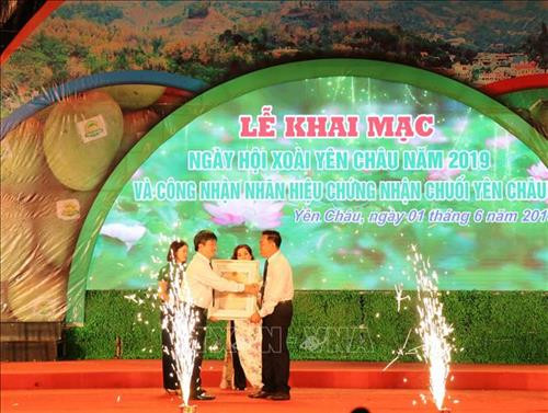 Đại diện Cục Sở hữu trí tuệ, Bộ Khoa học và Công nghệ trao Bằng nhãn hiệu chứng nhận chuối Yên Châu cho lãnh đạo UBND huyện Yên Châu, tỉnh Sơn La. Ảnh: Nguyễn Cường - TTXVN Đại diện Cục Sở hữu trí tuệ, Bộ Khoa học và Công nghệ trao Bằng nhãn hiệu chứng nhận chuối Yên Châu cho lãnh đạo UBND huyện Yên Châu, tỉnh Sơn La. Ảnh: Nguyễn Cường - TTXVN