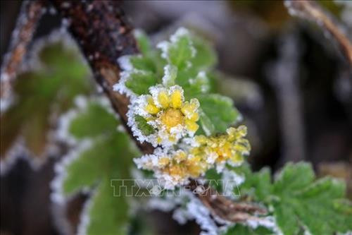 Khách du lịch ngắm cảnh đẹp sau khi tuyết rơi tại Sa mạc Badain Jaran ở tỉnh Cam Túc, Trung Quốc ngày 9/12. Ảnh: THX/TTXVN Tuyết bao phủ trên những mái nhà tại tỉnh An Huy, Trung Quốc ngày 9/12. Ảnh: THX/TTXVN Khách du lịch vui chơi tại Núi Lư Sơn, Giang Tây, Trung Quốc ngày 8/12. Ảnh: THX/TTXVN Băng tuyết bao phủ trên những cành cây tại tỉnh Sơn Đông, Trung Quốc ngày 8/12. Ảnh: THX/TTXVN Băng tuyết bao phủ trên những cành cây tại tỉnh Sơn Đông, Trung Quốc ngày 8/12. Ảnh: THX/TTXVN Băng tuyết bao phủ trên những cành cây tại tỉnh Hồ Nam, Trung Quốc ngày 8/12. Ảnh: THX/TTXVN Băng tuyết bao phủ trên những cành cây tại tỉnh Hồ Nam, Trung Quốc ngày 8/12. Ảnh: THX/TTXVN Khách du lịch ngắm tuyết rơi tại Núi Lư Sơn, tỉnh Giang Tây Trung Quốc ngày 8/12. Ảnh: THX/TTXVN Băng tuyết bao phủ trên những cành cây tại tỉnh Hồ Nam, Trung Quốc ngày 8/12. Ảnh: THX/TTXVN Khách du lịch ngắm cảnh đẹp sau khi tuyết rơi tại Sa mạc Badain Jaran ở tỉnh Cam Túc, Trung Quốc ngày 9/12. Ảnh: THX/TTXVN Tuyết bao phủ trên những mái nhà tại tỉnh An Huy, Trung Quốc ngày 9/12. Ảnh: THX/TTXVN Khách du lịch vui chơi tại Núi Lư Sơn, Giang Tây, Trung Quốc ngày 8/12. Ảnh: THX/TTXVN Băng tuyết bao phủ trên những cành cây tại tỉnh Sơn Đông, Trung Quốc ngày 8/12. Ảnh: THX/TTXVN Băng tuyết bao phủ trên những cành cây tại tỉnh Sơn Đông, Trung Quốc ngày 8/12. Ảnh: THX/TTXVN Băng tuyết bao phủ trên những cành cây tại tỉnh Hồ Nam, Trung Quốc ngày 8/12. Ảnh: THX/TTXVN Băng tuyết bao phủ trên những cành cây tại tỉnh Hồ Nam, Trung Quốc ngày 8/12. Ảnh: THX/TTXVN Khách du lịch ngắm tuyết rơi tại Núi Lư Sơn, tỉnh Giang Tây Trung Quốc ngày 8/12. Ảnh: THX/TTXVN Băng tuyết bao phủ trên những cành cây tại tỉnh Hồ Nam, Trung Quốc ngày 8/12. Ảnh: THX/TTXVN