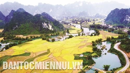 Vẻ đẹp của những thung lũng vào mùa lúa chín với núi non trùng điệp bao quanh. Trong ảnh: Cánh đồng lúa chín ở xã Đình Phong, huyện Trùng Khánh.