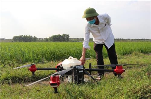 Người dân xã Yên Phụ sử dụng máy bay không người lái phun thuốc trừ sâu cho lúa. Ảnh: Đinh Văn Nhiều-TTXVN Người dân xã Yên Phụ sử dụng máy bay không người lái phun thuốc trừ sâu cho lúa. Ảnh: Đinh Văn Nhiều-TTXVN