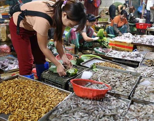 Hưởng ứng phong trào "Chống rác thải nhựa" do Thủ tướng Chính phủ phát động, Ban Quản lý chợ Phùng Khoang, quận Nam Từ Liêm (Hà Nội) đã phối hợp với các tổ chức trên địa bàn tuyên truyền, vận động các tiểu thương kinh doanh tại chợ hạn chế sử dụng túi nilon khó phân hủy, thay thế bằng các loại lá chuối tươi, lá sen tươi để bao gói sản phẩm. Ảnh: Vũ Sinh - TTXVN Hưởng ứng phong trào "Chống rác thải nhựa" do Thủ tướng Chính phủ phát động, Ban Quản lý chợ Phùng Khoang, quận Nam Từ Liêm (Hà Nội) đã phối hợp với các tổ chức trên địa bàn tuyên truyền, vận động các tiểu thương kinh doanh tại chợ hạn chế sử dụng túi nilon khó phân hủy, thay thế bằng các loại lá chuối tươi, lá sen tươi để bao gói sản phẩm. Ảnh: Vũ Sinh - TTXVN