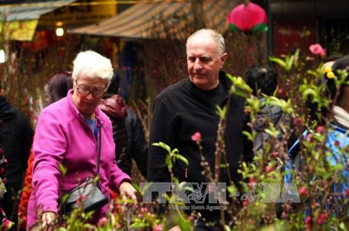 Chợ hoa Tết phố Hàng Lược ảnh 4 Chợ hoa Tết phố Hàng Lược ảnh 4