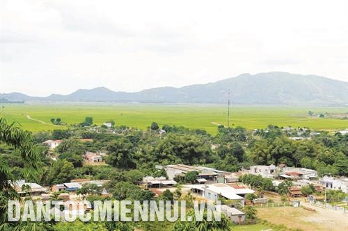 Ở xã Nghị Đức, huyện Tánh Linh, chỉ sau một năm, mô hình liên kết "4 nhà" đã giúp nông dân tạo ra vùng canh tác ổn định