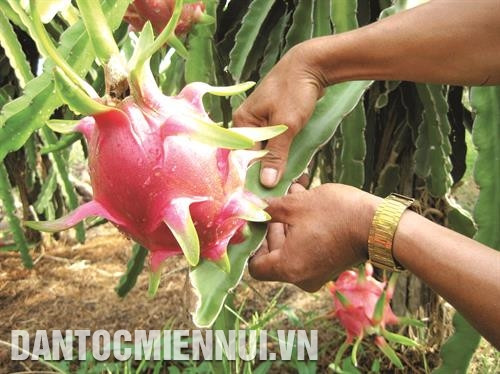 Mô hình liên kết "4 nhà" tạo sự đồng bộ trong ứng dụng khoa học - kỹ thuật