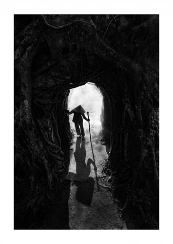 Đội nón lá trên đường về Lấy nón lá làm quạt Đội nón lá trên đường ra đồng Gánh hàng hoa Nón theo mẹ ra đồng Đội nón đi chợ Trên biển Đội nón lá cào don Nón lá trên đầu trong những mưu sinh thường nhật