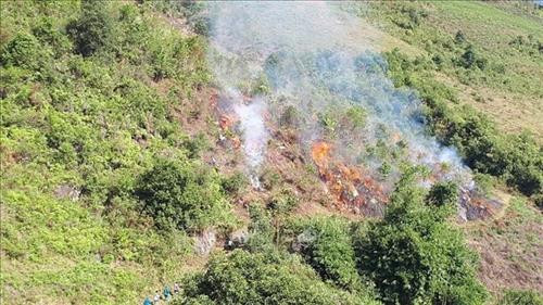 Diễn tập phòng chống cháy rừng tại xã Bản Mù, huyện Trạm Tấu, tỉnh Yên Bái. Ảnh: TTXVN phát