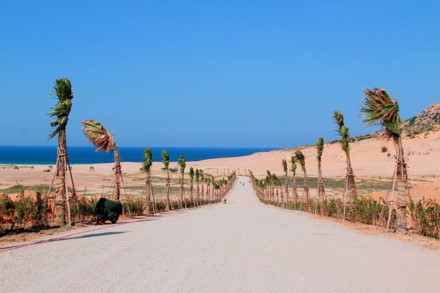 Sơn Hải - nơi đồi cát hùng vĩ chạy ra sát biển đẹp mê hồn ảnh 1