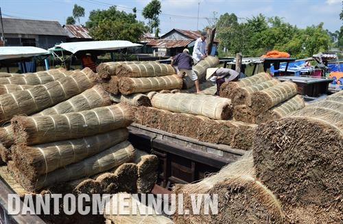 Các ghe chở lát, nguyên liệu chính để dệt chiếu được bày bán tại bến chợ xã Định Yên, huyện Lấp Vò (Đồng Tháp) Ảnh: Chương Đài - DTMN